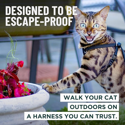 Houdini™ Escape Proof Kitten Harness and Leash Set by OutdoorBengal – Orange, Small Cat Harness for Walking