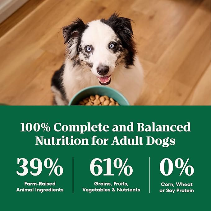 Nutro Natural Choice Adult Dry Dog Food, Lamb & Brown Rice Recipe, 5 lb. Bag