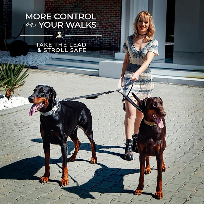 Premium Double Leash for Two Dogs – Shock Absorbing Anti Pull Double Lead for Medium & Large Breeds with Adjustable Dual Leash Attachment for 2 Dogs