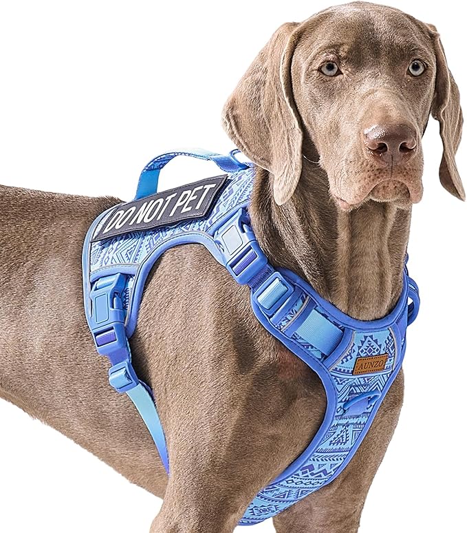 Heavy Duty Dog Harness for Large Dogs No Pull Adjustable Vest Harness with Handle Reflective K9 Military Service Puppy Vest for Walking Hiking Training, Blue Ethnic, XL