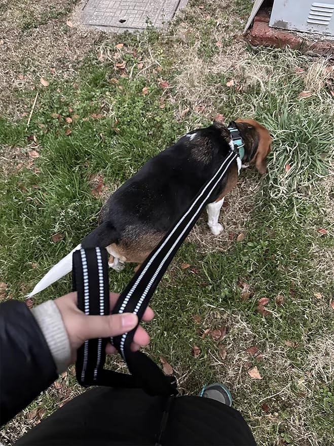 TRUE LOVE Reflective Dog Leash Puppy Walking Lead, Padded Pet Chain Rope，Length 110cm TLL2111(Black,S)