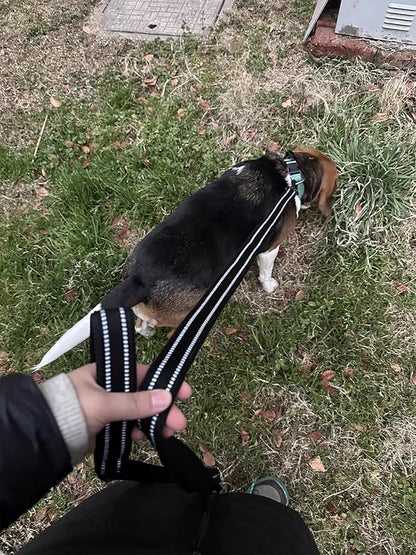TRUE LOVE Reflective Dog Leash Puppy Walking Lead, Padded Pet Chain Rope，Length 110cm TLL2111(Black,S)