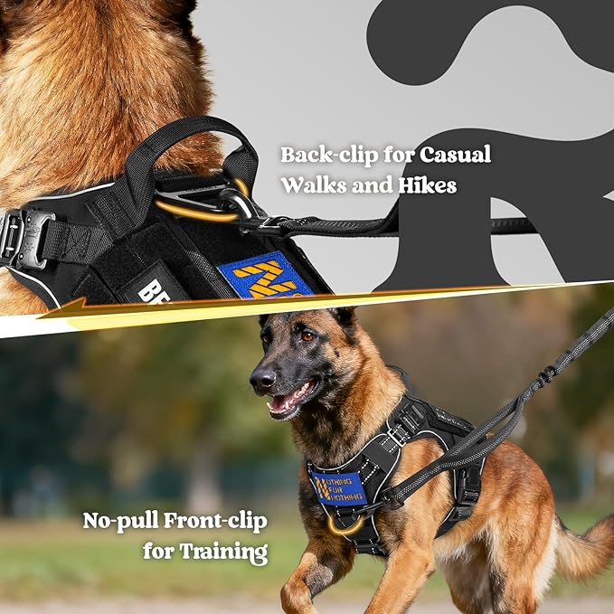 rabbitgoo Tactical Dog Harness Small Sized, No Pull Upgraded Reflective Heavy Duty Molle Vest with Handle, Adjustable Military Service Dog Vest for Walking Hiking Training, Black, S