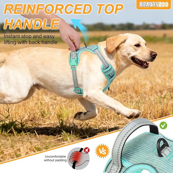 BEAUTYZOO No Pull Dog Harness, Adjustable Dog Harness and Leash Set -Easy Wearing with 3 Buckles/Control Handle,No Choke Soft Padded Reflective Pet Vest for Training Walking Hiking,Solid Aqua Blue XL