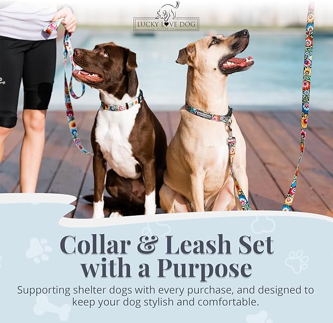 Lucky Love Dog - Easy Click Buckle Dog Collar with Leash Set Combo, Durable & Comfortable for Male & Female Dogs, Pet Collar for Large Dogs, Secure Fit - Blackbird Combo, Large