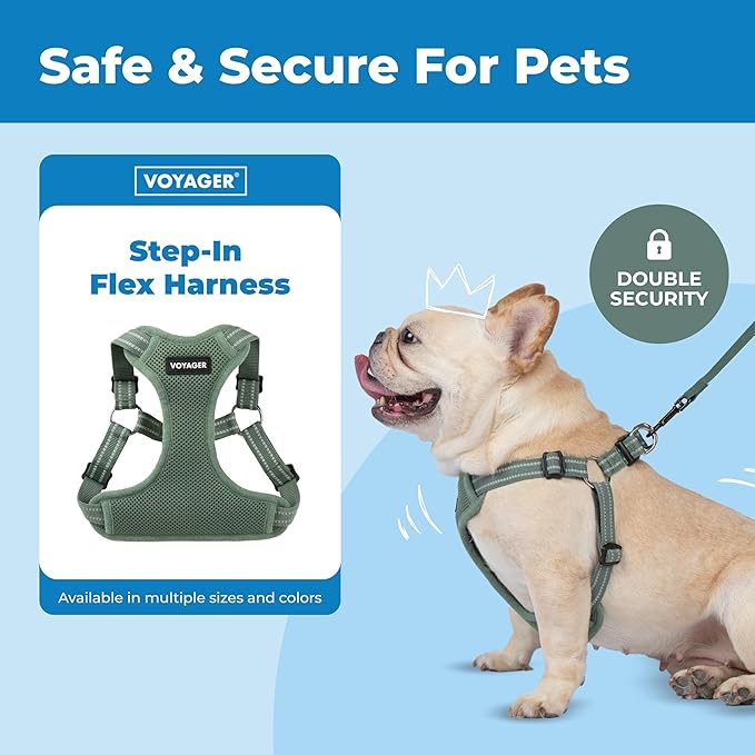 Best Pet Supplies Voyager Adjustable Step-in Flex Breathable Mesh Dog Harness for Small Medium Large Dogs Moss Green, M