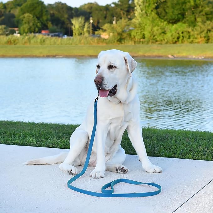 Dogline Biothane Waterproof Dog Leash Strong Coated Nylon Webbing with Black Hardware Odor-Proof Easy to Clean High Performance for Small or Large Dogs Made in USA 4 or 6 ft Lead, Cerulean Blue