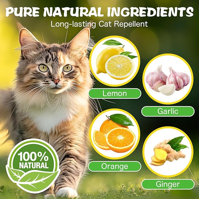 DOBYONE Cat Deterrent Outdoor & Indoor,10Pack Natural Cat Repellent Essential Oils Ball Anti Cat Scratch for Furniture, Keep Cats Off Yard Garden Lawn Plants Trash Can,Keep Cats Away (5)