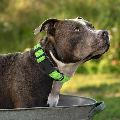 Mile High Life Dog Collar | Nylon Reflective Dog Collars | Light Weight Puppy Collars | Lime Green Dog Collars for Small Dogs (Solid Lime Green, Small)