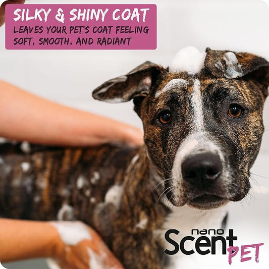 nanoSCENT Pet Shampoo with Sea Salt for Dogs & Cats – Nano Tech Long-Lasting Fresh Clean Scent, Eliminates Odors All Day, Professional-Strength Formula, 13× Longer Lasting - Floral Daze (200mL)