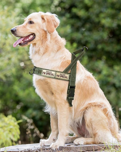 No Pull Dog Harness for Small Medium Large Sized Dogs, Escape Proof Adjustable Dog Harnesses with 2 Patch, Green Camo, M