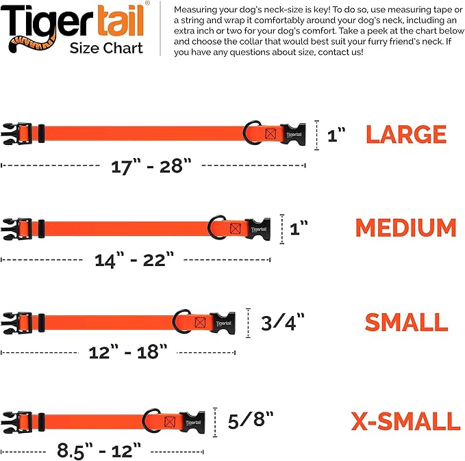 Tiger Tail Small Sky Blue Dog Collar | Waterproof and Odor-Proof for Active Pets | Durable, Anti-Mat, and Lightweight Design | Made with Premium Coated Nylon | Suitable for Small Breed Dogs