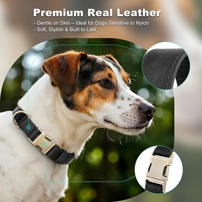 Plutus Pet Genuine Leather Dog Collar – Adjustable Pet Collar with Quick Release Metal Buckle, Soft Real Leather for Small Medium Large Dogs, Heavy Duty & Skin-Friendly (Black, L)