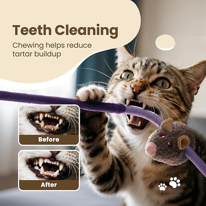 PURETOY Cat Chew Ropes with Catnip Mice, 3Pcs Cat Chew Toys for Kitten/Large Cats Enrichment, 3-in-1 Catnip Toys Mouse & Strong Braided Ropes & Gall Fruits, Cats Teething Toys