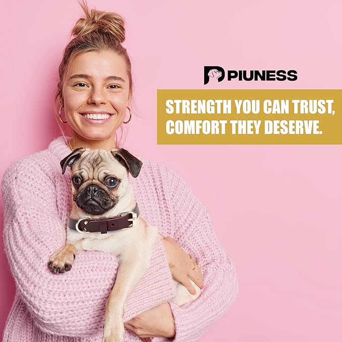 100% Real Leather Dog Collar and Leash Set, Premium Adjustable Fit with Durable Buckle, Stylish Comfort for Dogs (Small)