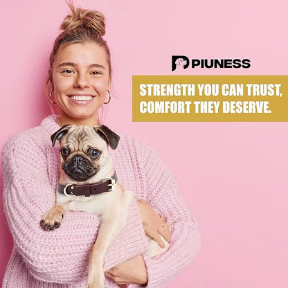 100% Real Leather Dog Collar and Leash Set, Premium Adjustable Fit with Durable Buckle, Stylish Comfort for Dogs (Small)