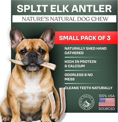 Mountain Valley Elk Antlers for Dogs - 100% Natural & Organic Chew for Aggressive Chewers, No Odor, No Mess, Long Lasting - Wild-Foraged Naturally Shed Antlers in USA - Grade A, Split Small (3 Pack)