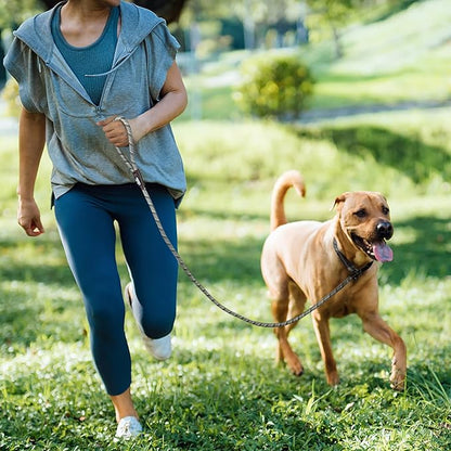 TwoEar 6FT Slip Lead Dog Leash, Heavy Duty Slip Leash for Dogs with Highly Reflective, Strong Rope Slip Leads No Pull Pet Training Leashes for Small Dogs (1/2", Grey)