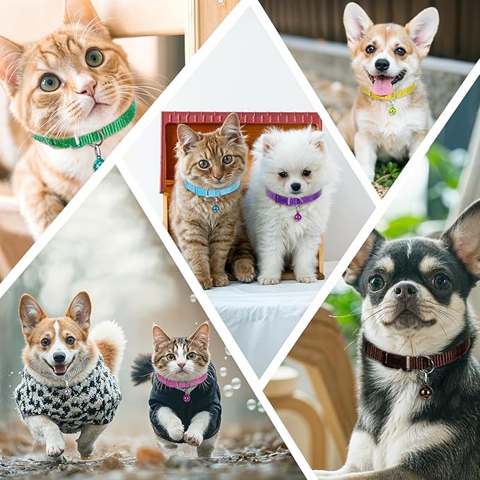 48 Pcs Puppy Collar and Leash Set, Adjustable Dog Collars with Hook and Quick Release Clip Buckle for Medium Dogs Small Pet Puppy Walking Training (Multicolor, Solid Pattern)