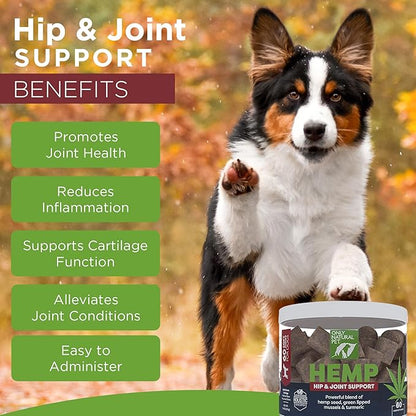Only Natural Pet Hemp Hip & Joint Support for Dogs - Supplement for Mobility Wellness Pain Relief Healthy Inflammatory & Bone Stiffness - Chews w/Fatty Acid Blend Mussels & Turmeric - 60-Ct (2-Packs)