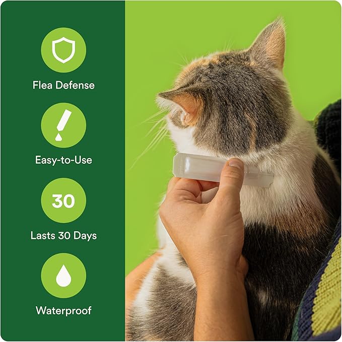 Advecta Plus Topical Flea Treatment for Cats and Kittens, Flea Prevention and Control, Small & Large, Fast-Acting Waterproof Drops, 2-Month Supply