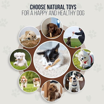 4 Pack Real Coffee Wood Stick for Dogs 15-40 lbs, Puppy Teething Toys, 100% Natural Puppy Wood Chew Toys, Stress Relief - Woodden Bones for Dogs - Natural Rope Toys
