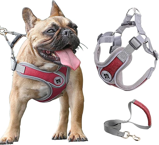 Puppy Harness and Leash Set,No Pull Adjustable Step in Soft Mesh Vest Harness,Easy Walk Reflective Pet Harness with Padded Handle for Walking Training Small Medium Large Dogs and Cats (Red, XS)