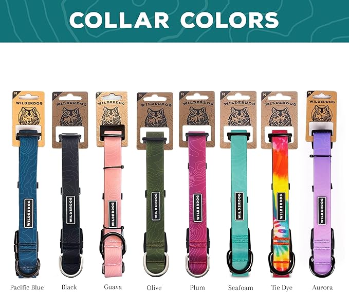 Wilderdog Waterproof Dog Collar - Repels Water & Dirt - Medium 13"-18" - Aurora