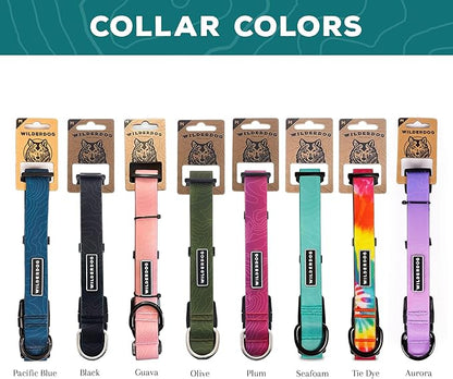 Wilderdog Waterproof Dog Collar – Repels Water & Dirt - Small 11"-15" - Aurora