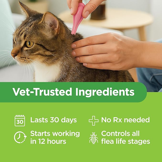 TevraPet Actispot II Flea Treatment for Large Cats 9+ lbs | 6 Doses | Powerful Prevention and Control