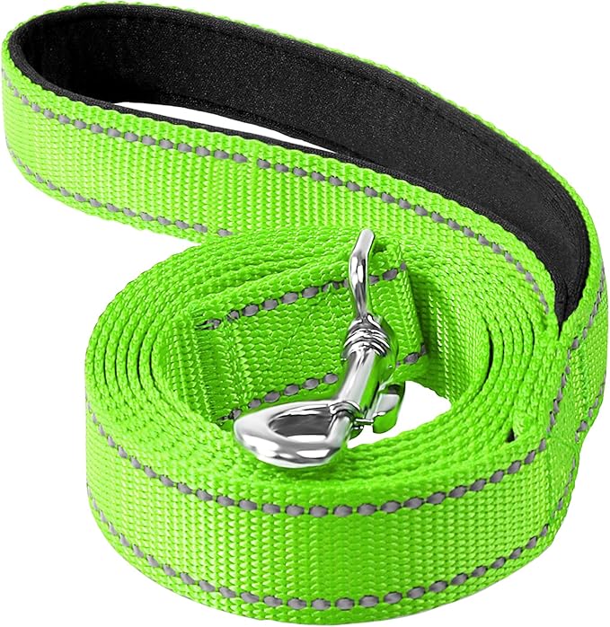 4FT Reflective Nylon Dog Leash with Soft Padded Handle for Walking, Running and Training, Supports Small Medium and Large Dogs (Green, 1 Inch Wide)