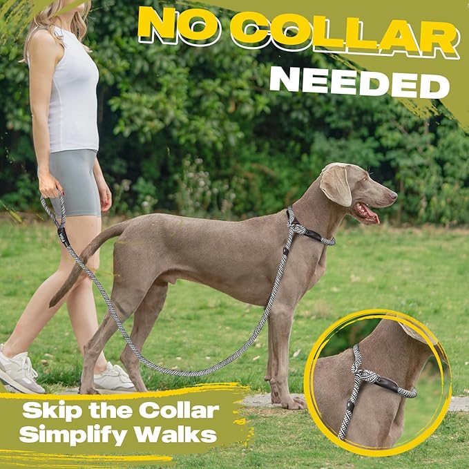 Fida Durable Slip Lead Dog Leash, 6 FT x 3/8" Heavy Duty Comfortable Strong Rope Slip Lead for Small Dogs and Puppies, No Pull Pet Training Leash with Highly Reflective(3/8", Grey)