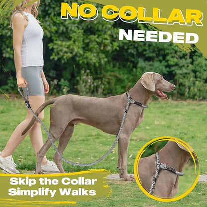 Fida Durable Slip Lead Dog Leash, 6 FT x 3/8" Heavy Duty Comfortable Strong Rope Slip Lead for Small Dogs and Puppies, No Pull Pet Training Leash with Highly Reflective(3/8", Grey)