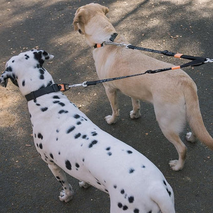 HOWGO Double Dog Leash, No Tangle 360° Swivel, Adjustable Two Padded Handles, Double Clip Dog Leash Coupler Splitter for 30~150 lbs Large and Medium Breeds (Mint Green, 4/5'' x 0.9 FT, Ultralight)