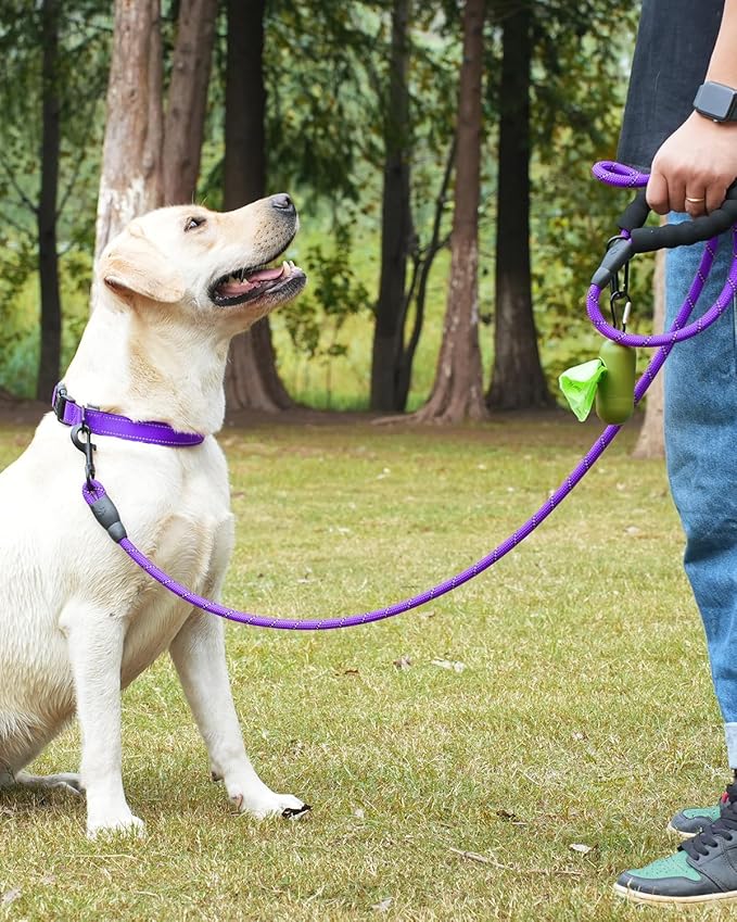 Dynmeow Reflective Dog Collar and Leash Set, 6FT Strong Climbing Rope Leash with Padded Handle, Adjustable Pet Collar with Soft Neoprene Padding for Medium Large Dogs, Purple, M