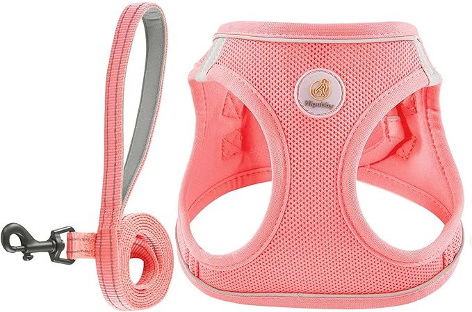 Hipubby Dog Harness and Leash Set, No Pull Soft Mesh Puppy Harness for Small Medium Dogs, Cats - Step in Reflective Breathable Lightweight Vest Harness for Walking, Training - Pink, XXS