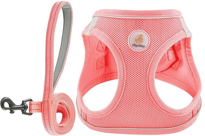 Hipubby Dog Harness and Leash Set, No Pull Soft Mesh Puppy Harness for Small Medium Dogs, Cats - Step in Reflective Breathable Lightweight Vest Harness for Walking, Training - Pink, L