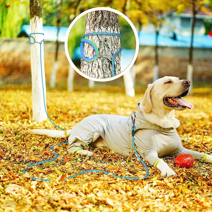 NTR Dog Rope Leash, 15FT Puppy Recall Training Lead, with 2 Swivel Hooks, Reflective Threads and Comfortable Handle, Puppy Leash for Walking, Hunting, Camping, Backyard for Small Medium and Large Dogs