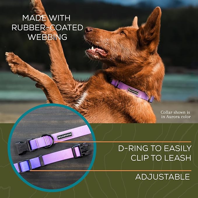 Wilderdog Waterproof Dog Collar - Repels Water & Dirt - Medium 13"-18" - Aurora