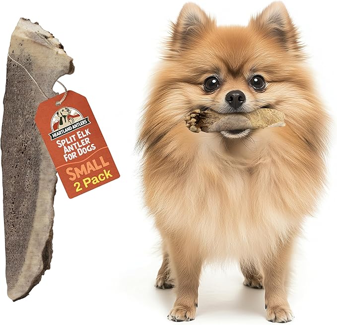Heartland Whole Elk Antlers for Dogs (4–5”, 2-Pack) – Long-Lasting, Odorless Dental Chews for Small Breed Aggressive Chewers – USA Sourced, Natural Antler Bones to Reduce Tartar & Curb Boredom