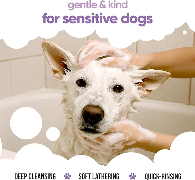 White Dog Shampoo by Buddycare | Brightening and Whitening Shampoo for Dogs | Deep Cleansing, Fresh Scented | with Aloe Vera and Pro Vitamin B5 (169.07oz)