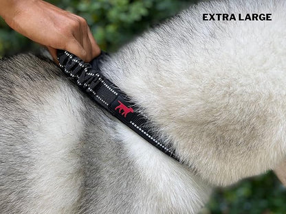 Tuff Pupper Heavy Duty Dog Collar with Handle | Ballistic Nylon Heavy Duty Collar | Padded Reflective Dog Collar with Adjustable Stainless Steel Hardware | Convenient Sizing for All Breeds