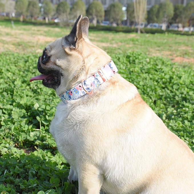 Metal Buckle Dog Collar, Durable Adjustable Dog Collar Soft for Small Medium Large Dogs (S(10-14in), Flower2)