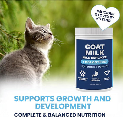 Under the Weather Kitten Milk Replacement Powder + Colostrum for Cats & Kittens | Goat Milk Replacer Powder | Goat-Based Formula with Colostrum for Immune & Digestive Support - 12 oz