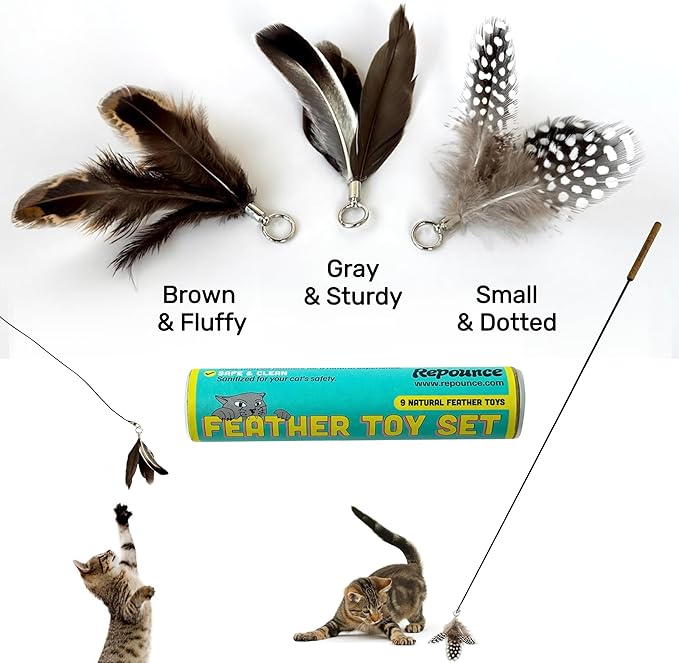 repounce Feather Toys Replacements (9 Pc) - Cat Toys & Kitten Toys for Indoor Kittens, Set of Replacement Feather Attachments Extra Small and Durable, for Cat Wands, Natural and Safe