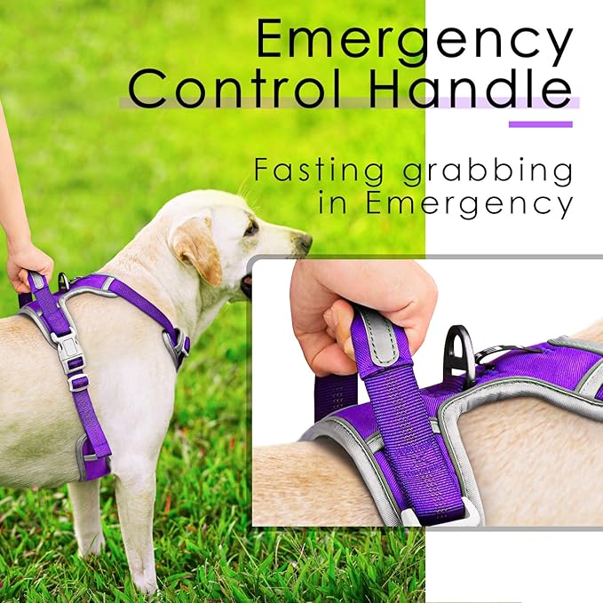ThinkPet No Pull Harness Breathable Sport Vest with Handle-Dog Harnesses Reflective Adjustable for Medium Large Dogs