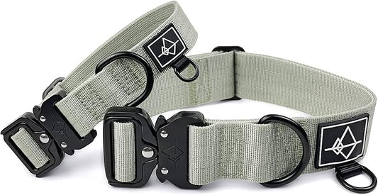 Made to ROAM Premium Dog Collar - Adjustable Heavy Duty Nylon Collar with Quick-Release Metal Buckle (Eucalyptic Glow, Classic Size 5)