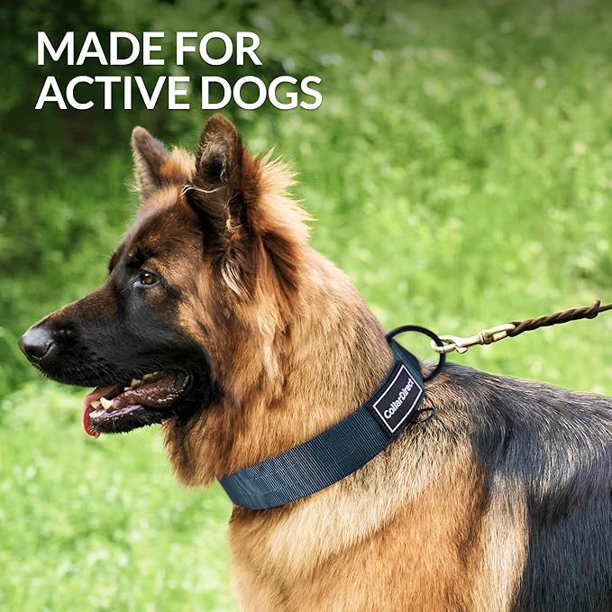 Heavy Duty Dog Collar for Large or Medium Dogs, Adjustable Strong Dog Collar for Active Dogs, Double-Layered Nylon (Dark Blue, 11-15)