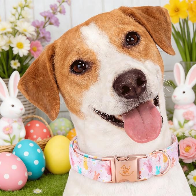Elegant little tail Easter Dog Collar, Pink Bunny Pattern Floral Spring Pet Collars Gift Holiday Puppy Collars Soft Cotton Adjustable Dog Collar for Small Dogs