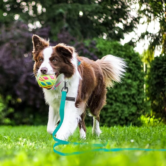 Wolfone 5ft Viridian Green Long Leash - Waterproof Training Dog Leash for Recall, Swimming, Camping, Beach, Hunting, Walking
